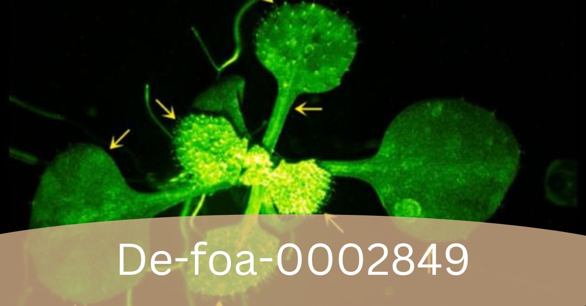 De-foa-0002849