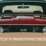 Rental Car in Mexia invest.rakyatnesia