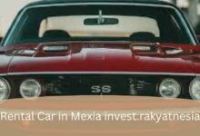 Rental Car in Mexia invest.rakyatnesia