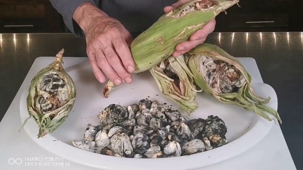 Is Huitlacoche Safe To Eat