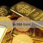Sv388 Gold