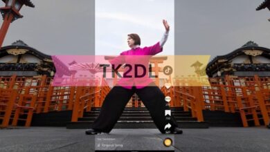 TK2DL