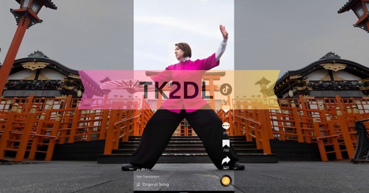 TK2DL