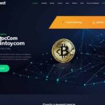 lessinvest.com crypto