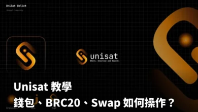 Unisat Wallet 调试demo