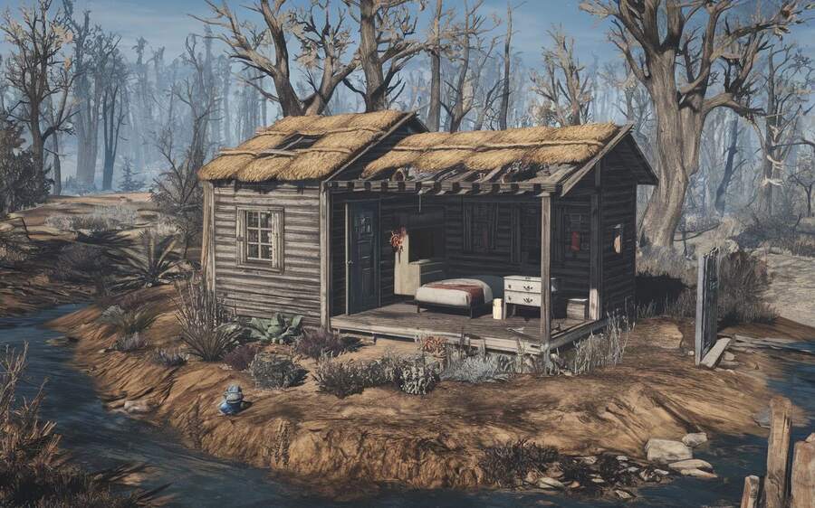 Reflecting on Alicia’s Shack and Its Role in TTW: