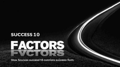 Success100x.Com Factors