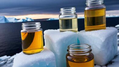 Arctic Oils