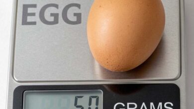 How Many Grams Is One Egg