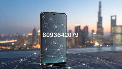 8093642079