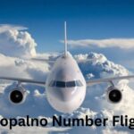 zopalno number flight