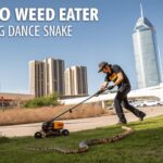 El Paso Weed Eater in The Big Dance Snake