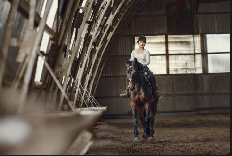 How "Instant" Barns are Disrupting the Luxury Equestrian Market