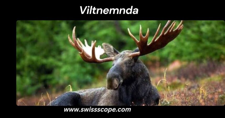 Viltnemnda